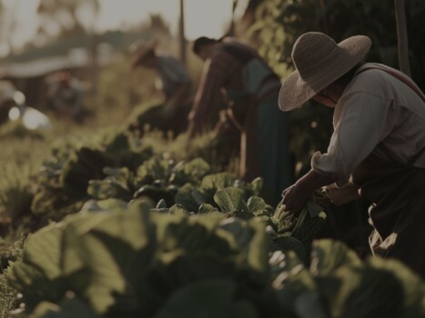 Imagem de trabalhador do campo para ilustrar conteúdo sobre o PL do pagamento de impostos rurais com crédito de carbono.
